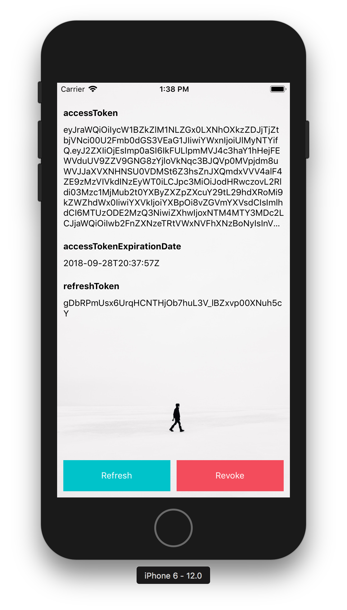 Access Token Info